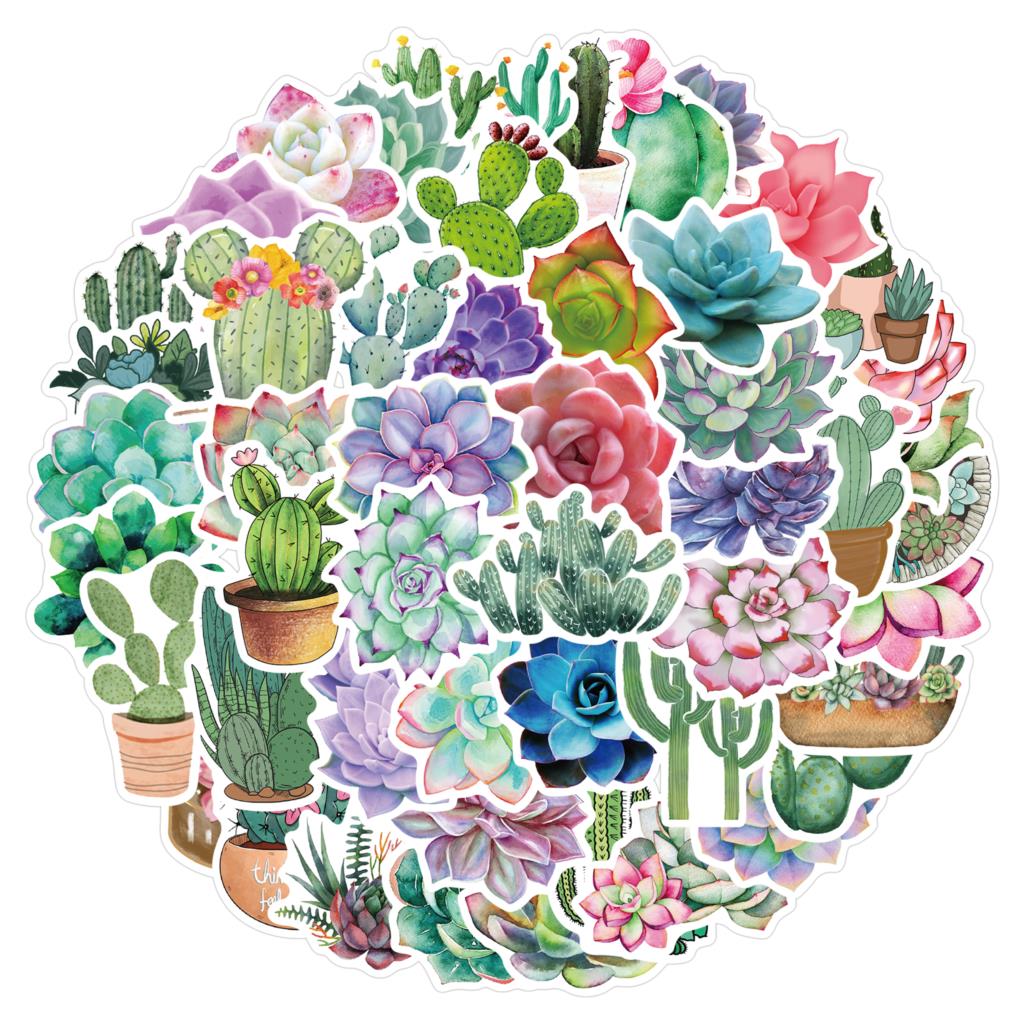 Laptop Accessories Girly - 50 pezzi adesivi succulenti per Laptop